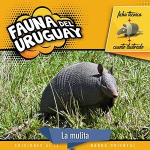 FAUNA DEL URUGUAY MULITA
