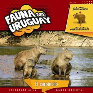 FAUNA DEL URUGUAY CARPINCHO