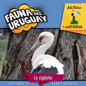 FAUNA DEL URUGUAY CIGUEÑA