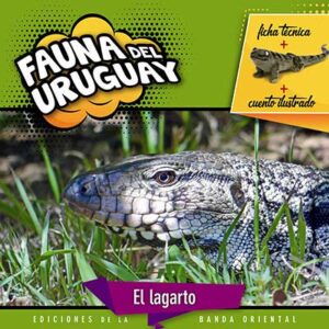 FAUNA DEL URUGUAY LAGARTO