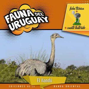 FAUNA DEL URUGUAY ÑANDU