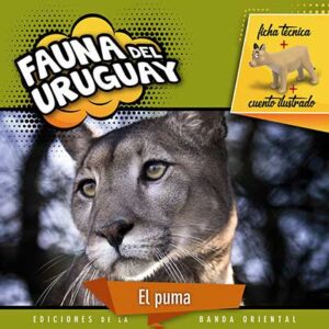 FAUNA DEL URUGUAY PUMA