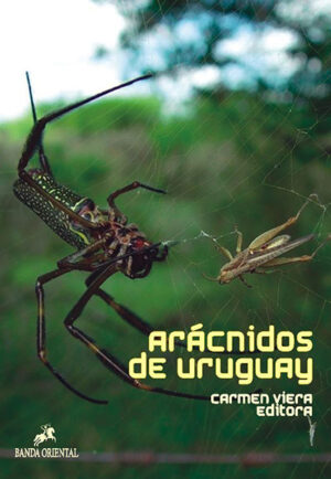 ARACNIDOS DE URUGUAY DIVERSIDAD COMPORTAMIENTO Y