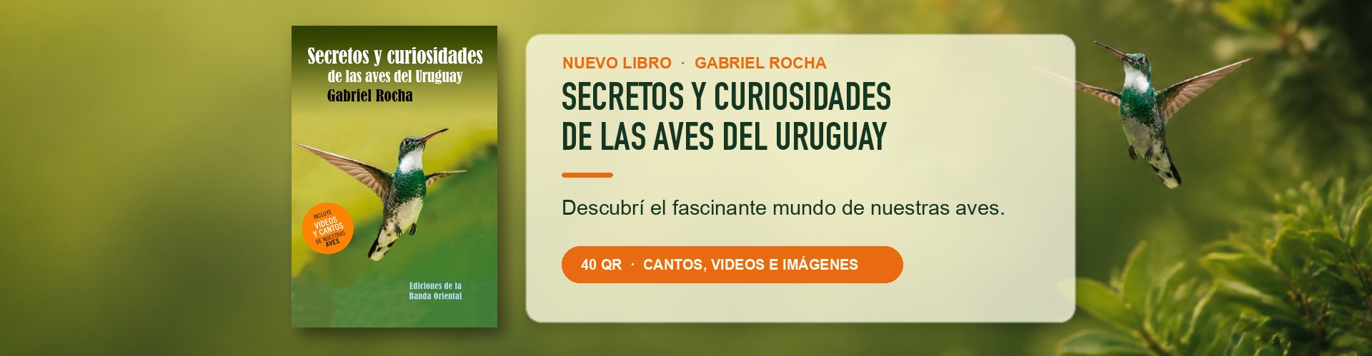 Secretos y curiosidades de las aves del Uruguay — Gabriel Rocha