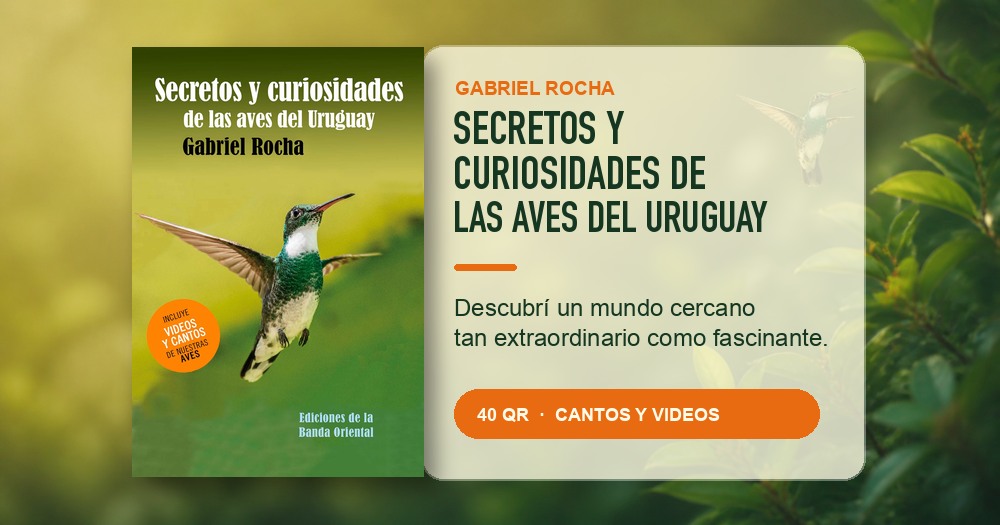 Secretos y curiosidades de las aves del Uruguay — Gabriel Rocha